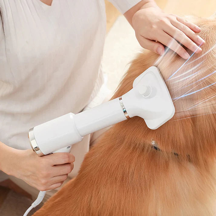 Pet hair dryer comb